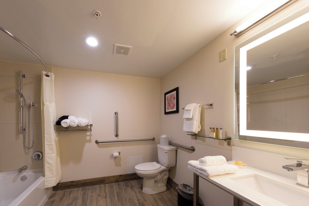 Standard Room, 1 King Bed, Accessible Bathtub (Accessible Tub) | Bathroom | Combined shower/tub, designer toiletries, hair dryer (on request)