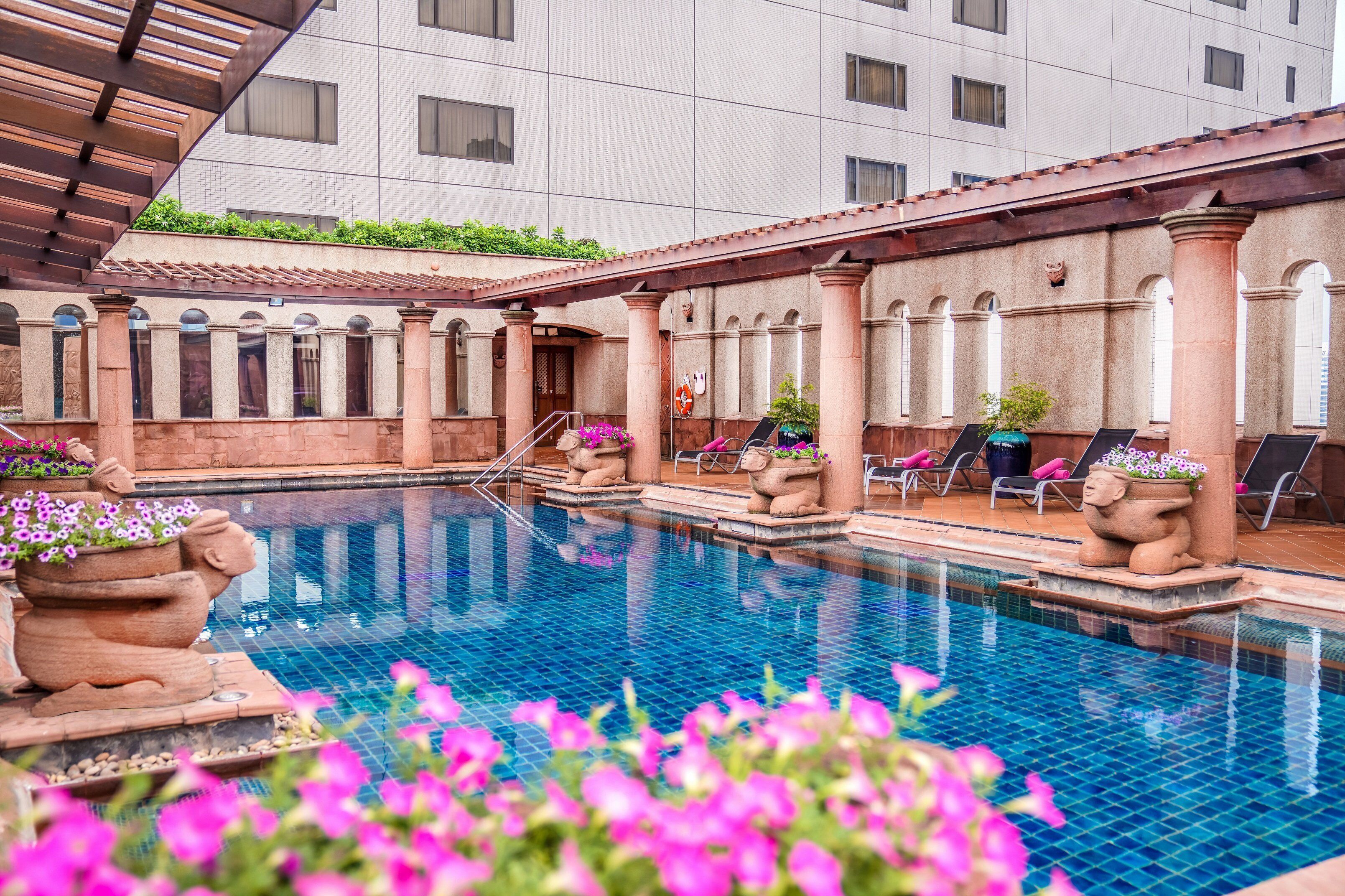 outdoor pool, pool loungers