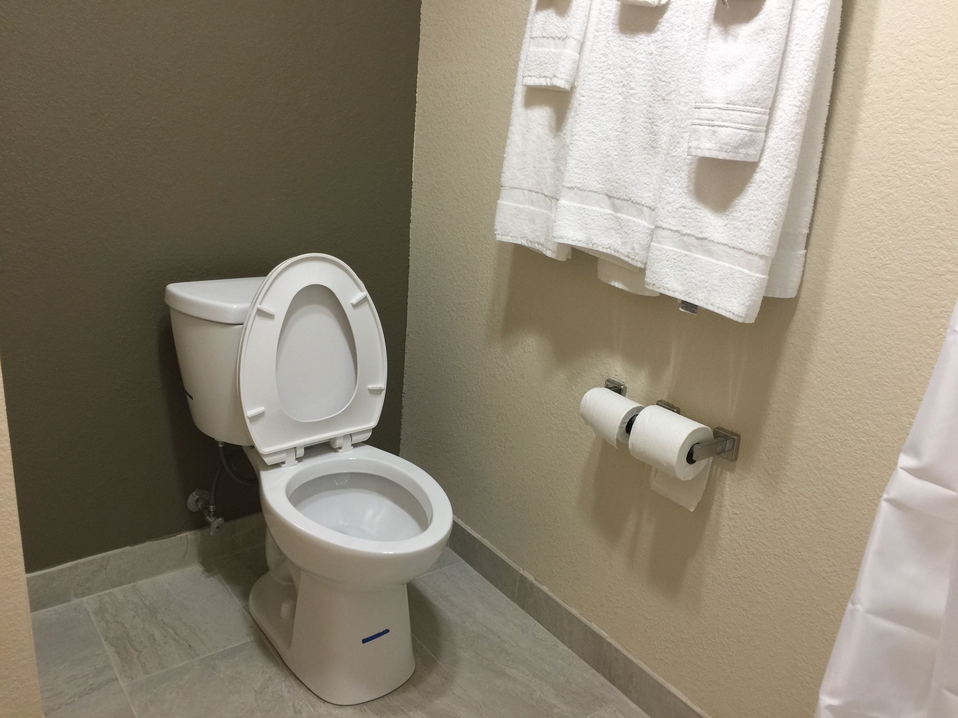 A white toilet with a closed lid, a toilet paper holder on the wall, and a towel rack above it.