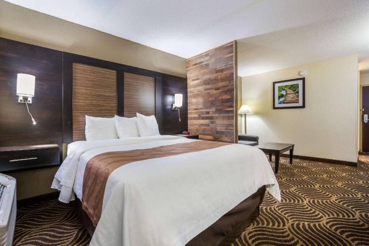 A hotel room with a bed, bedside tables, a lamp, a picture on the wall, and a patterned carpet.