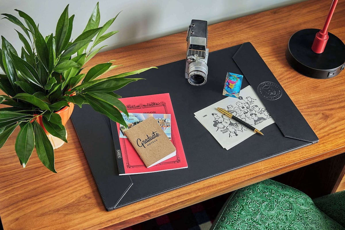 A desk with a laptop, a camera, a notebook, and a plant.