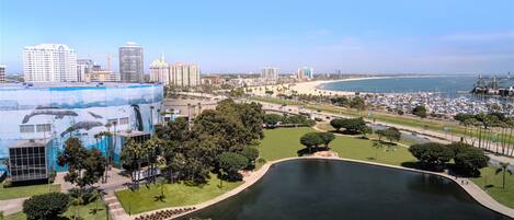 A coastal cityscape with a marina, a large body of water, and a park with trees and a walking path.