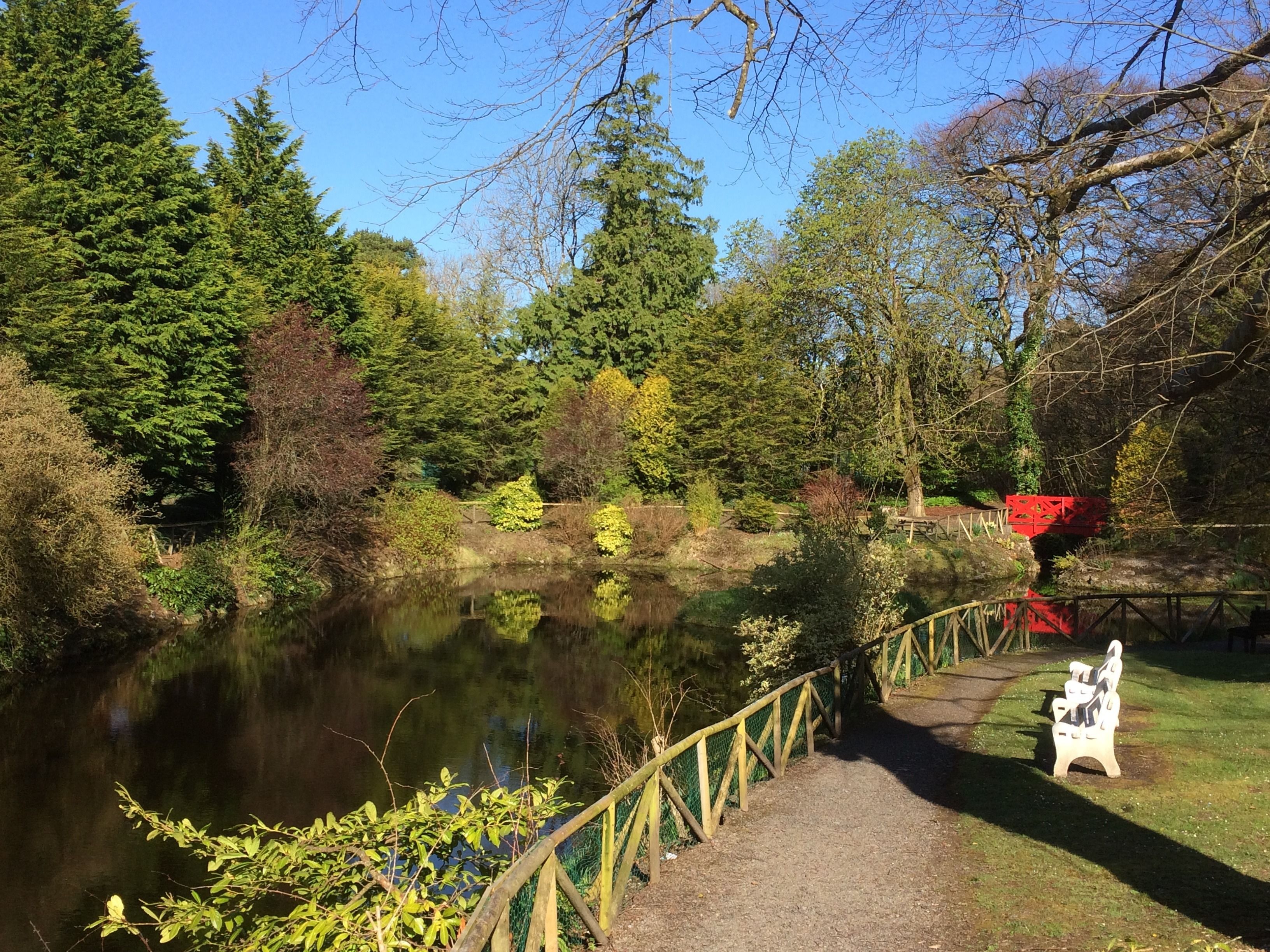 A pathway alongside a pond with a wooden fence and a bench.