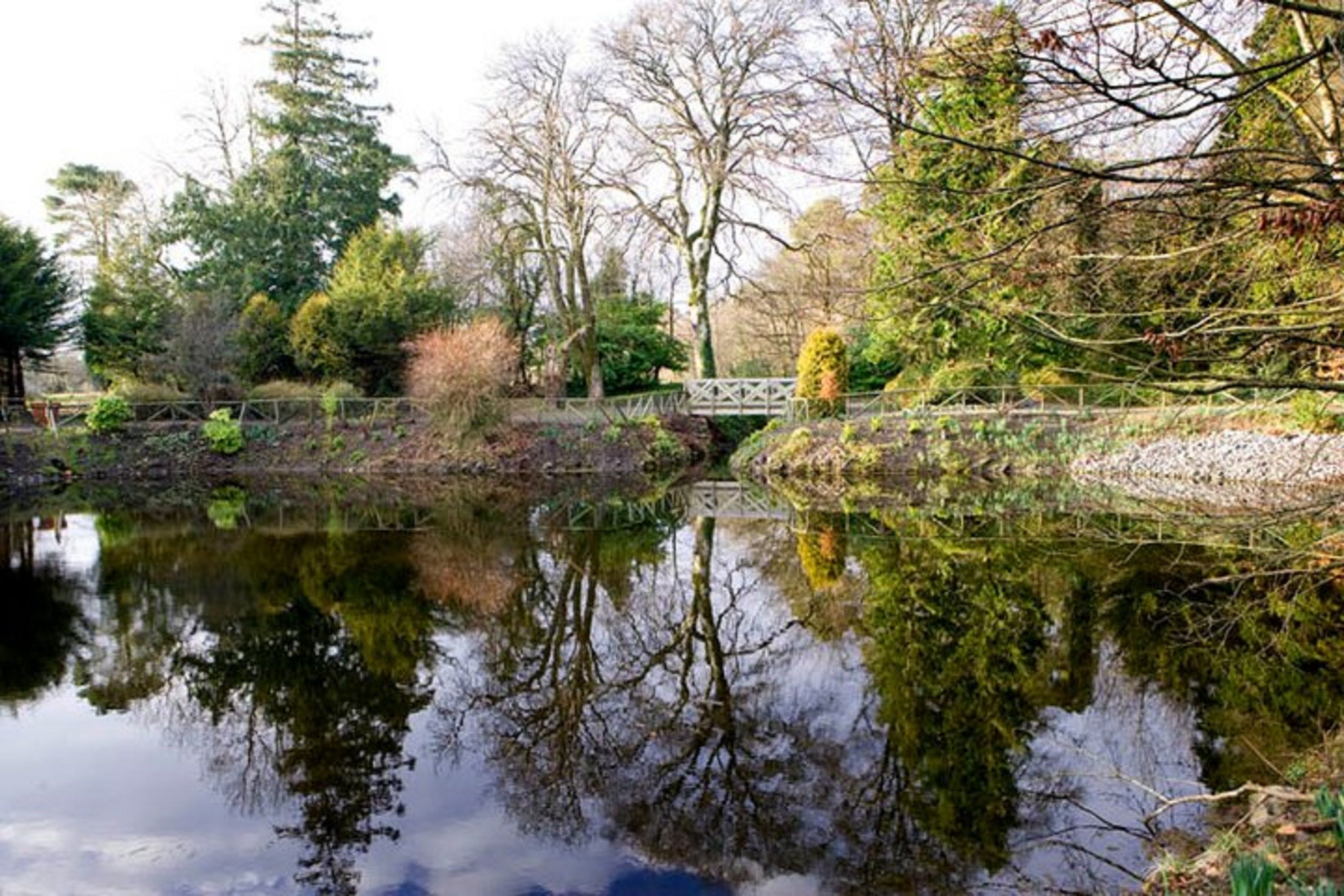 A tranquil pond with reflections of trees and a bridge, surrounded by lush greenery.