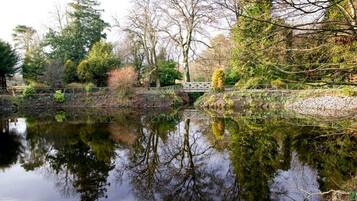 A tranquil pond with reflections of trees and a bridge, surrounded by lush greenery.
