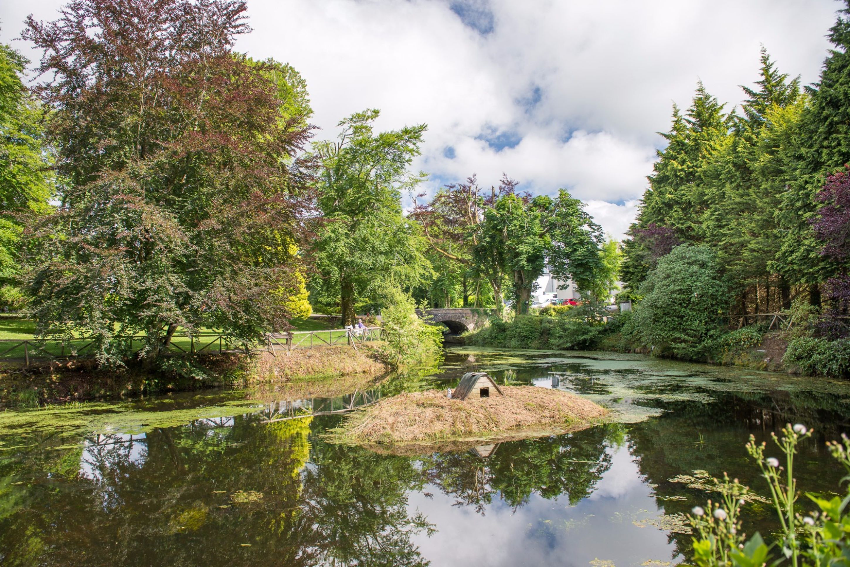 children’s activities