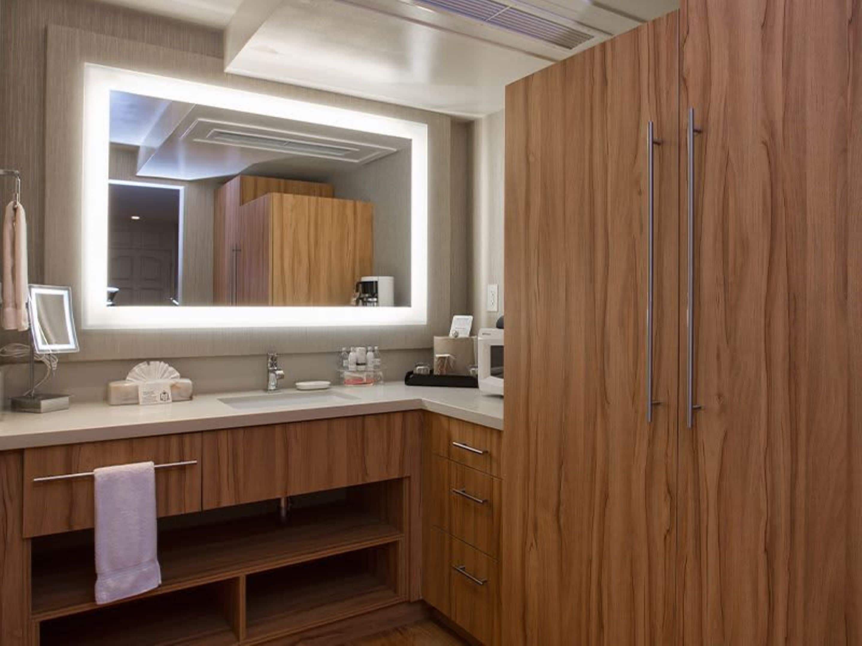 standard room, 1 king bed (deluxe king bed room non-smoking) | bathroom | combined shower/bathtub, hydromassage showerhead, designer toiletries