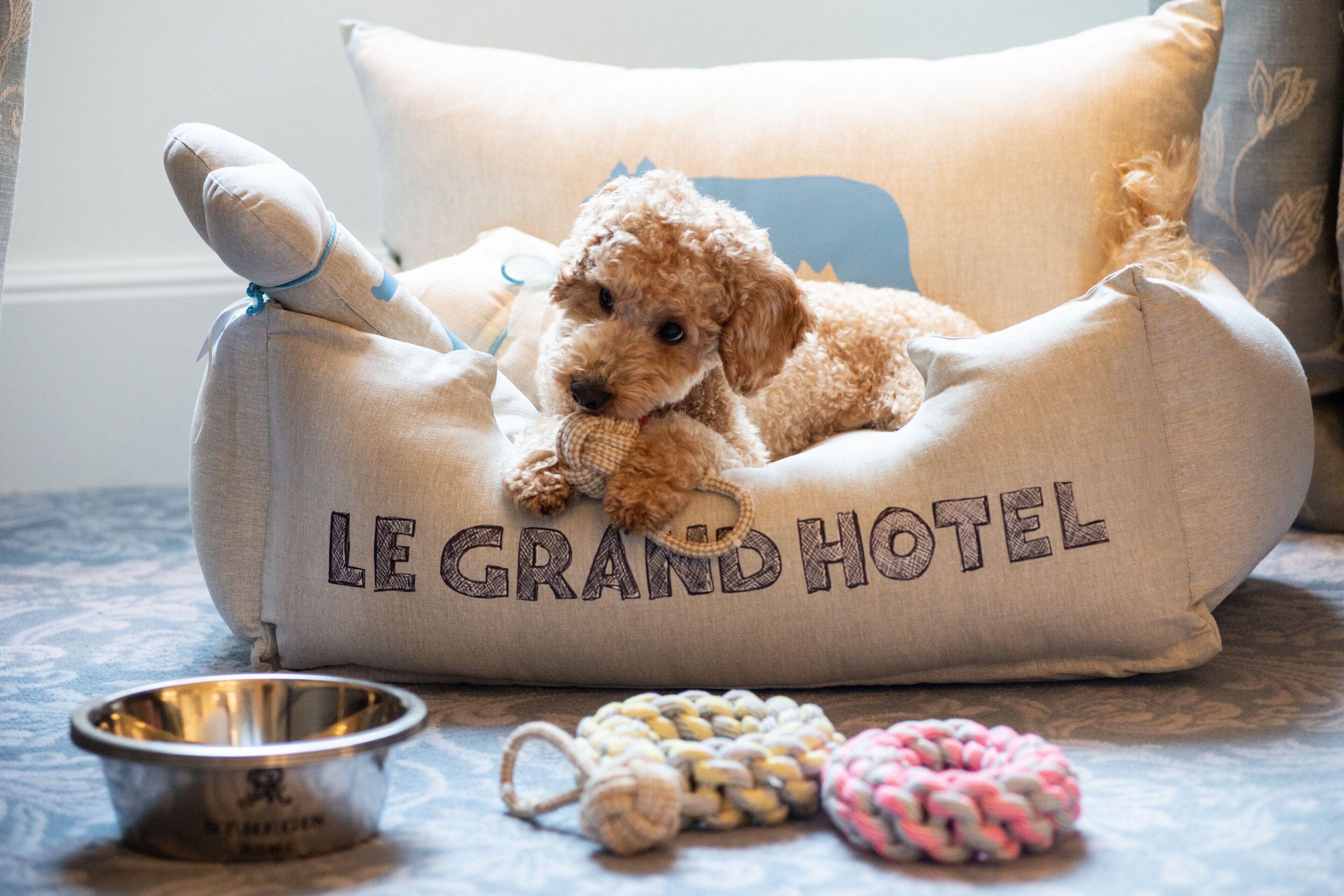 Foto - The St. Regis Rome