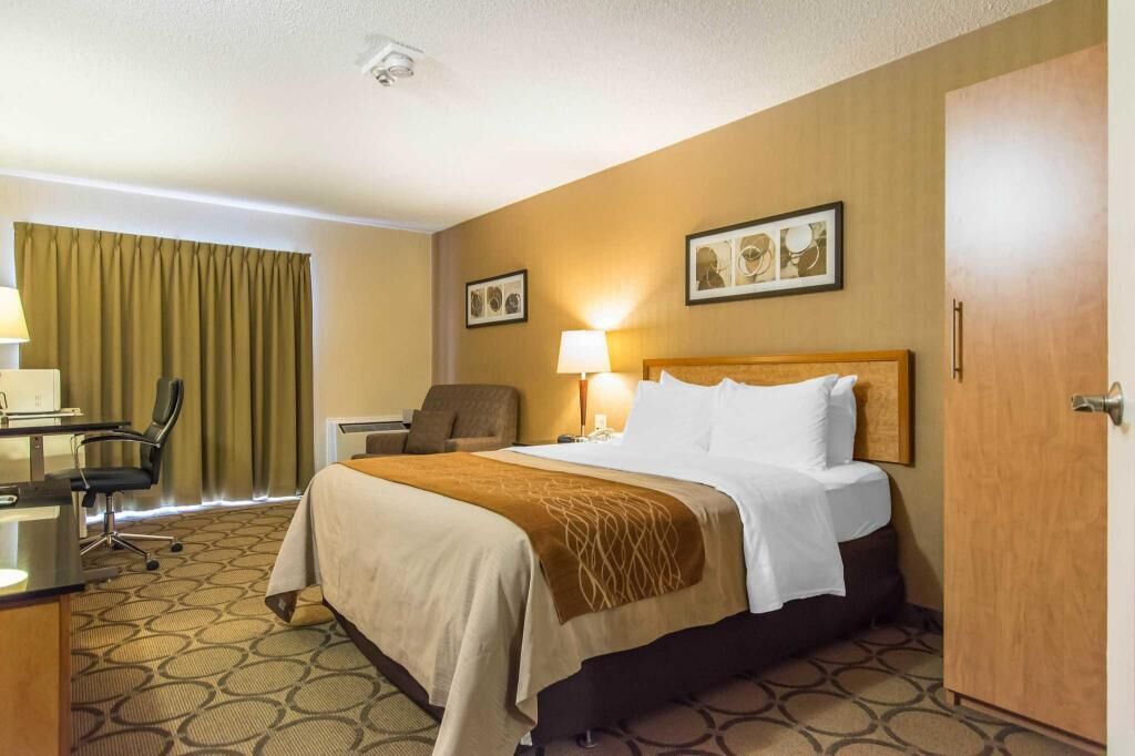 Premium bedding, desk, blackout curtains, iron/ironing board