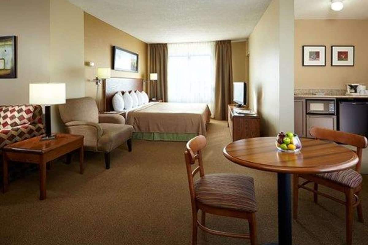 suite, 1 queen bed with sofa bed, non smoking | desk, blackout curtains, iron/ironing board, free cots/infant beds