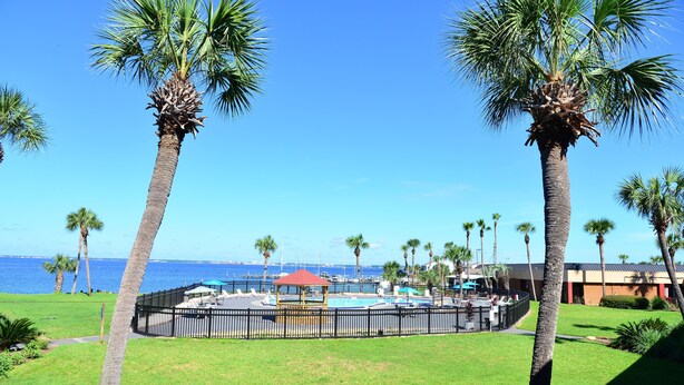 A pool area with a fenced deck, surrounded by palm trees and a view of the ocean.
