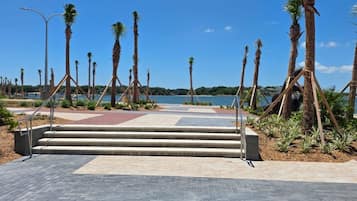 A paved walkway with palm trees, a clear blue sky, and a body of water in the background.