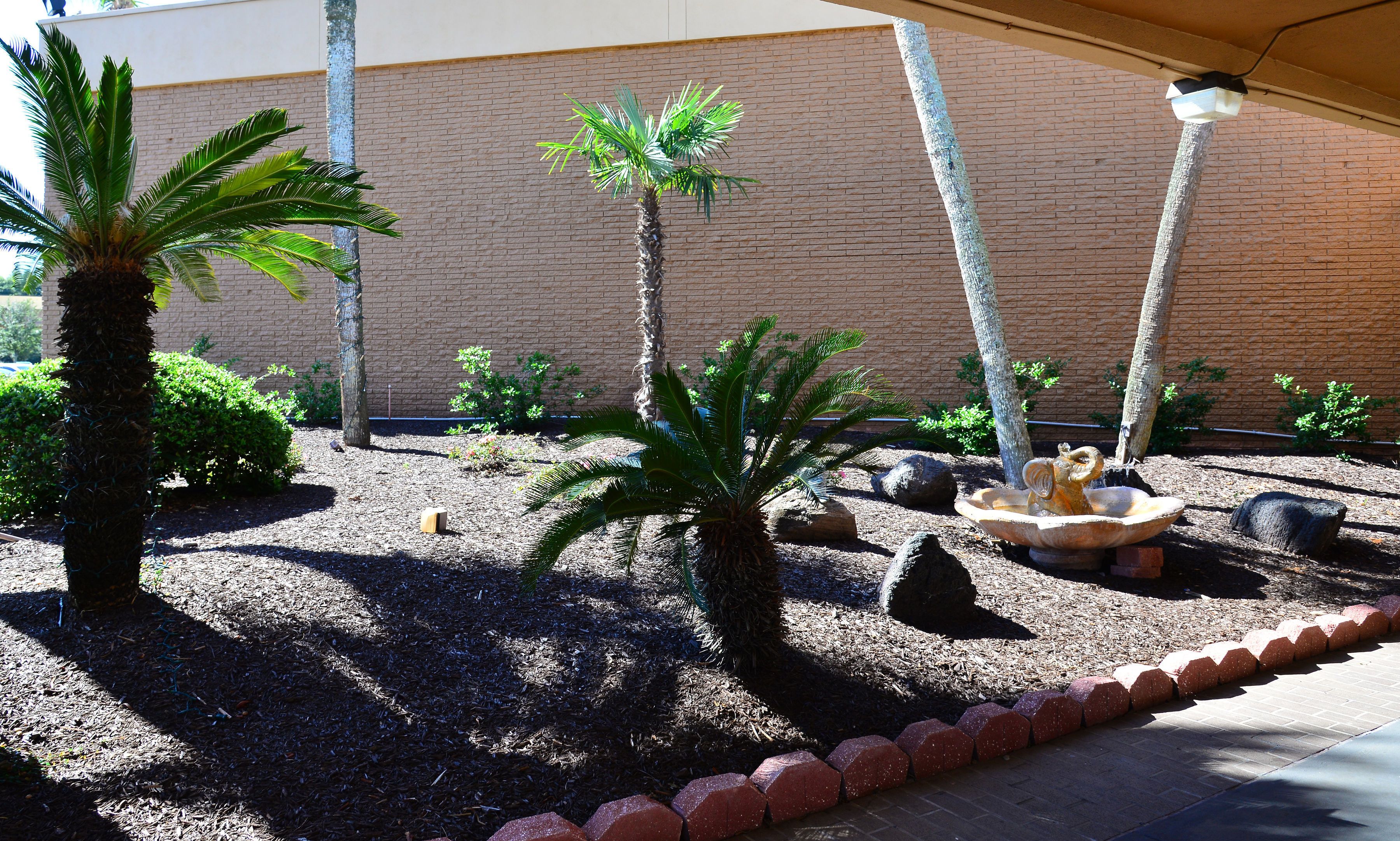 Foto - Quality Inn & Suites Gulf Breeze Bayside near Pensacola Beach