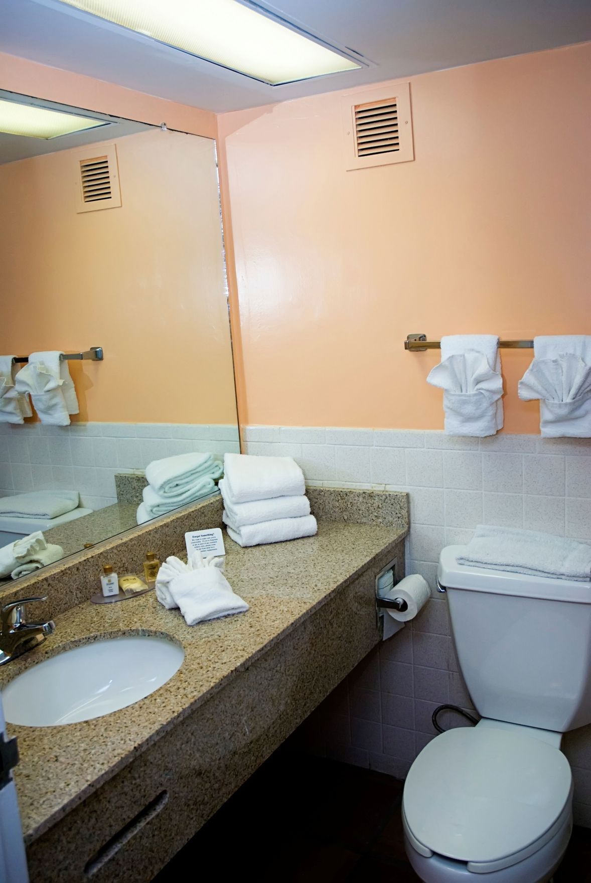 Duschwanne, kostenlose Toilettenartikel, Haartrockner, Handtücher