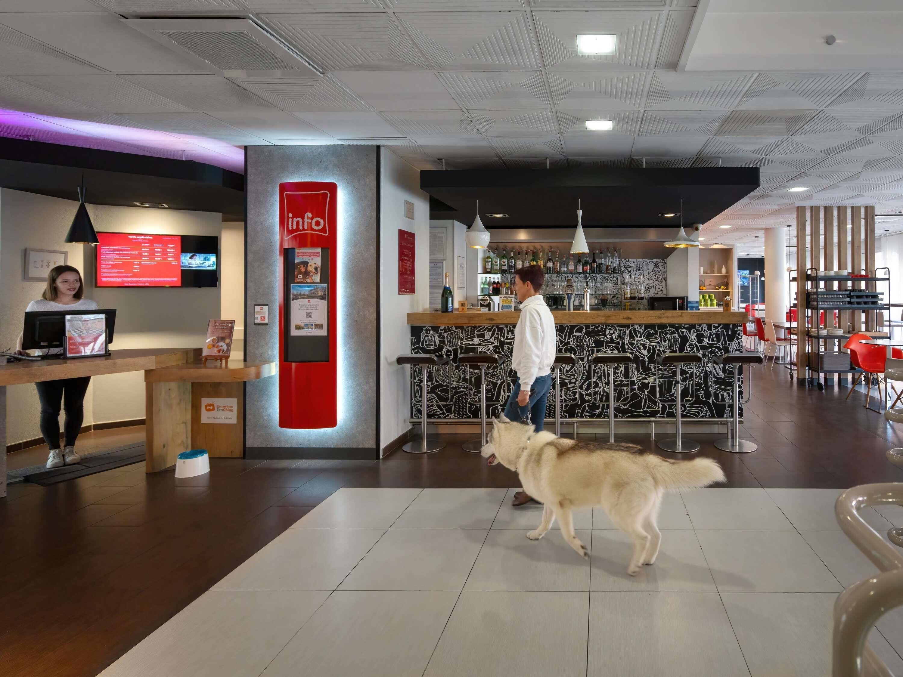 A modern hotel lobby with a reception desk, a digital information board, a bar area, and a dog walking through the space.