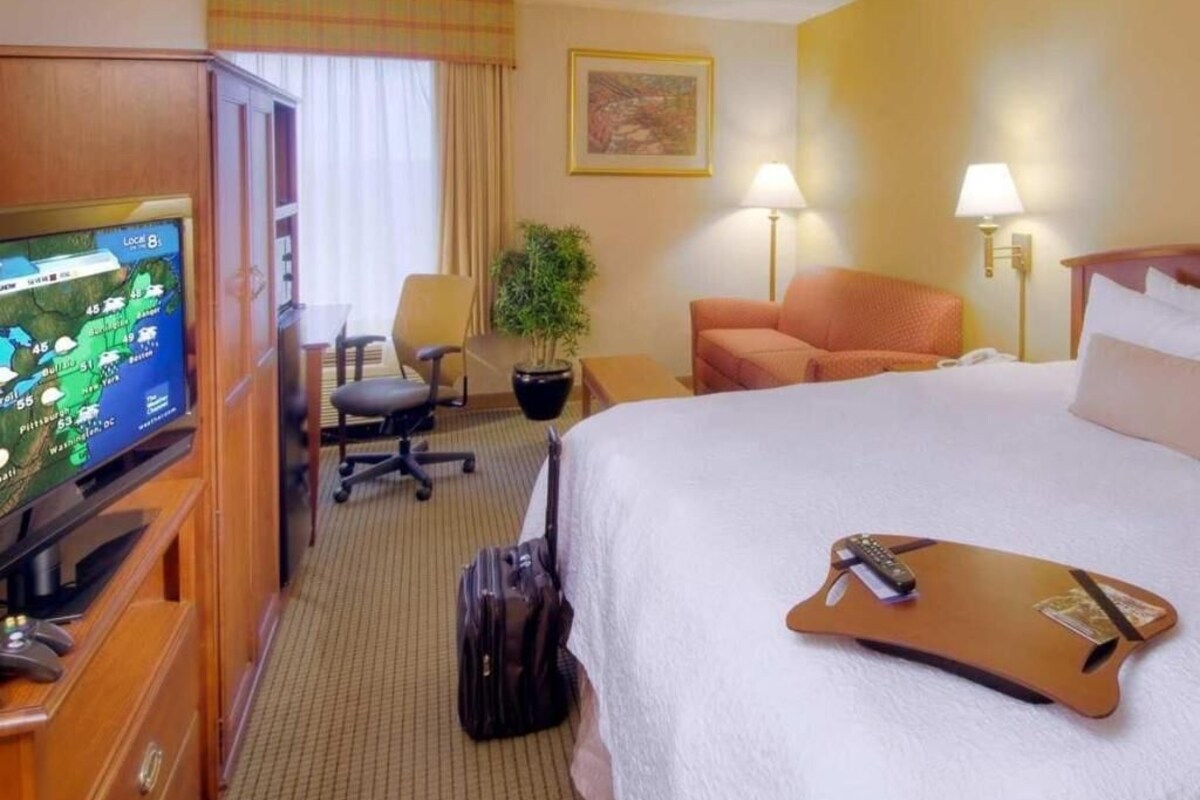 Habitación de hotel con cama, escritorio, televisor, silla, planta y lámpara.