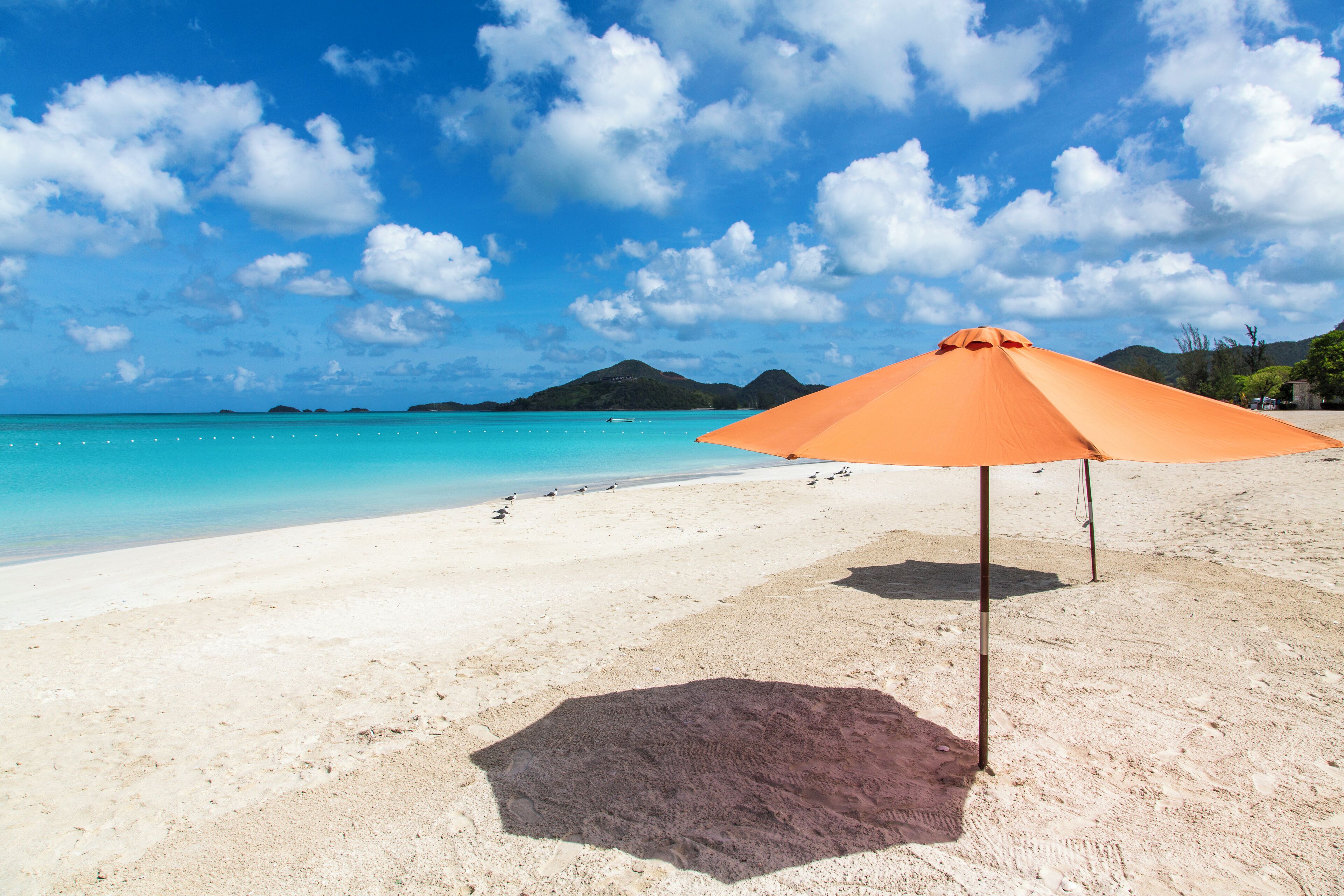 شاطئ