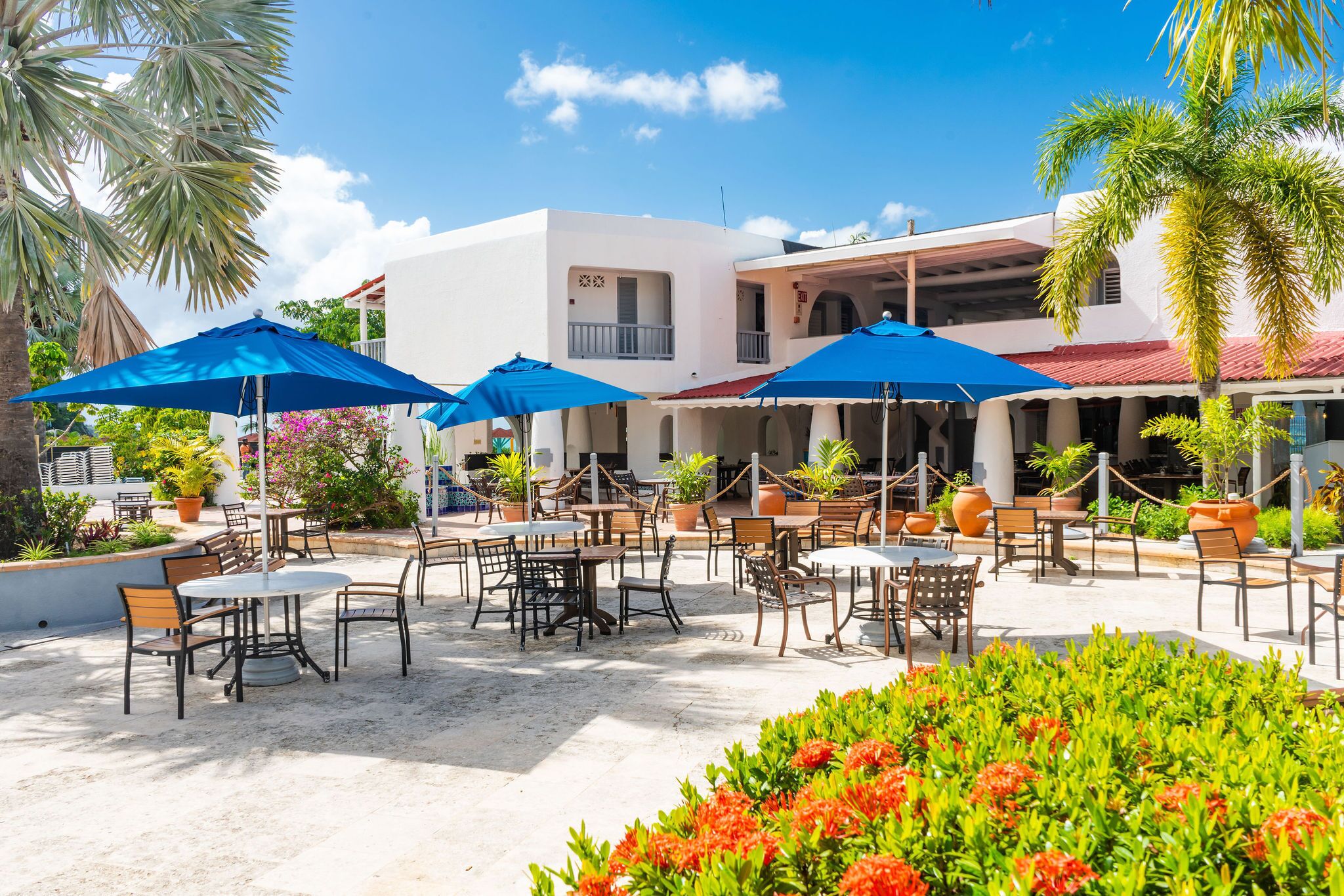 テラス / パティオ