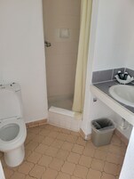 A bathroom with a toilet, shower, sink, and a trash bin.