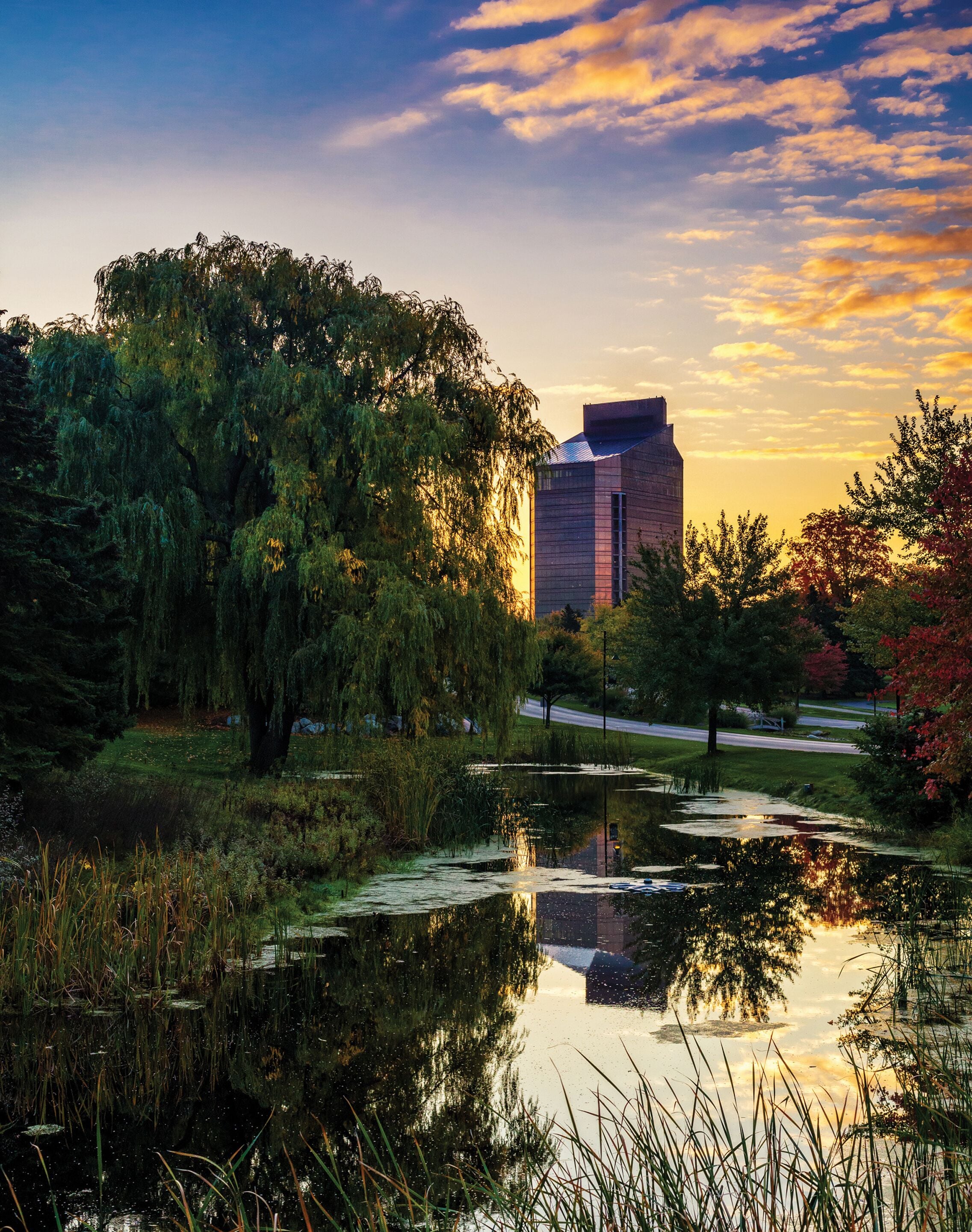 A serene landscape with a reflective pond, lush greenery, and a modern building in the background.