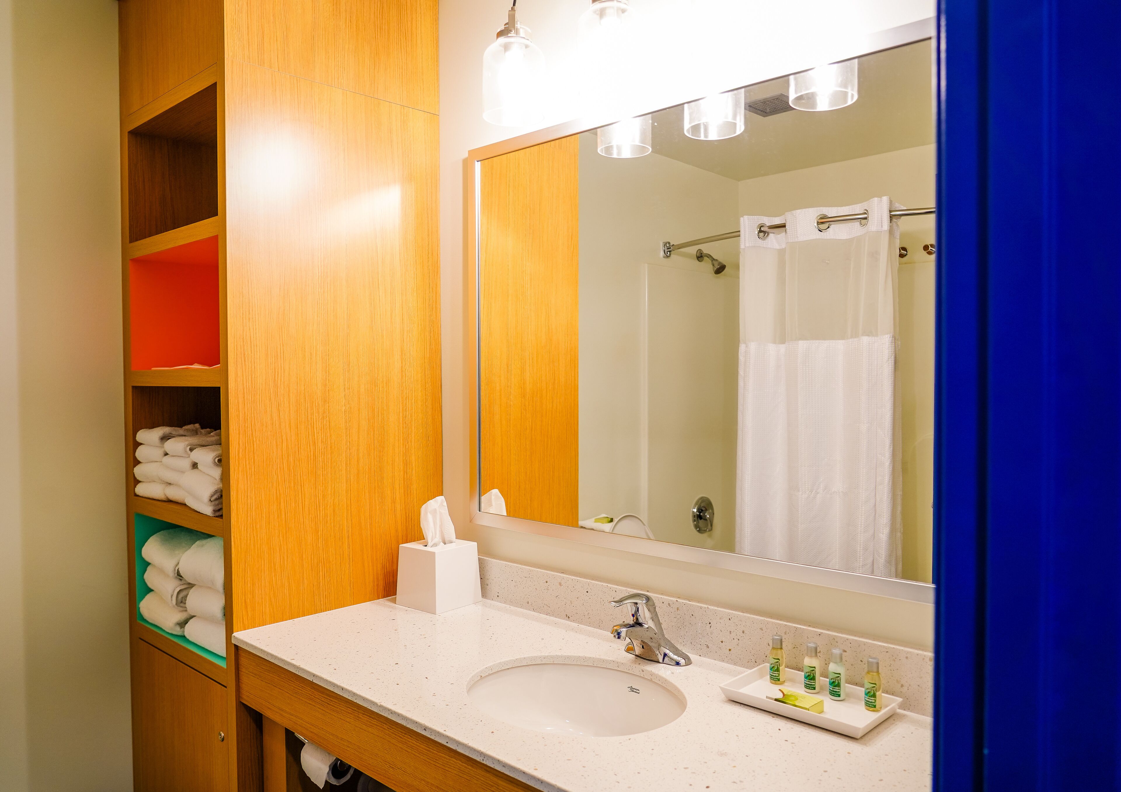 combined shower/bathtub, free toiletries, hair dryer, towels