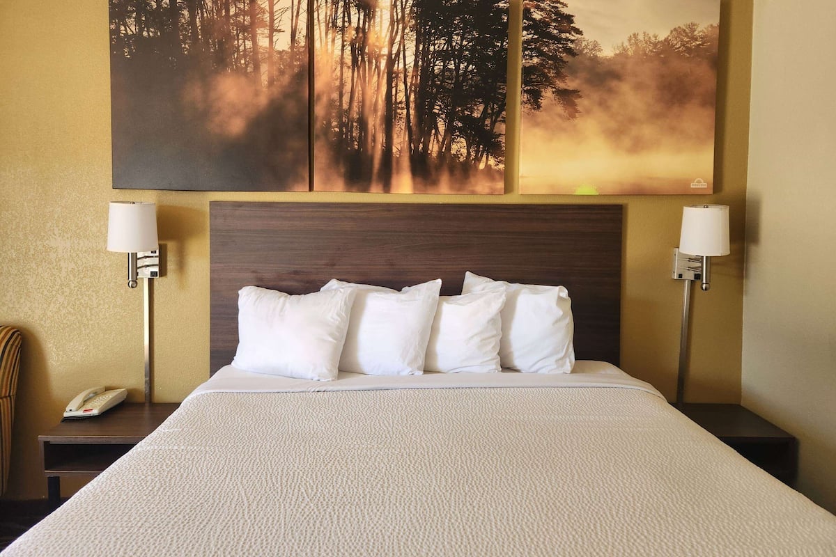 Habitación de hotel con una cama grande, ropa de cama blanca, dos lámparas de noche, un teléfono y un cuadro grande con motivos forestales en la pared.