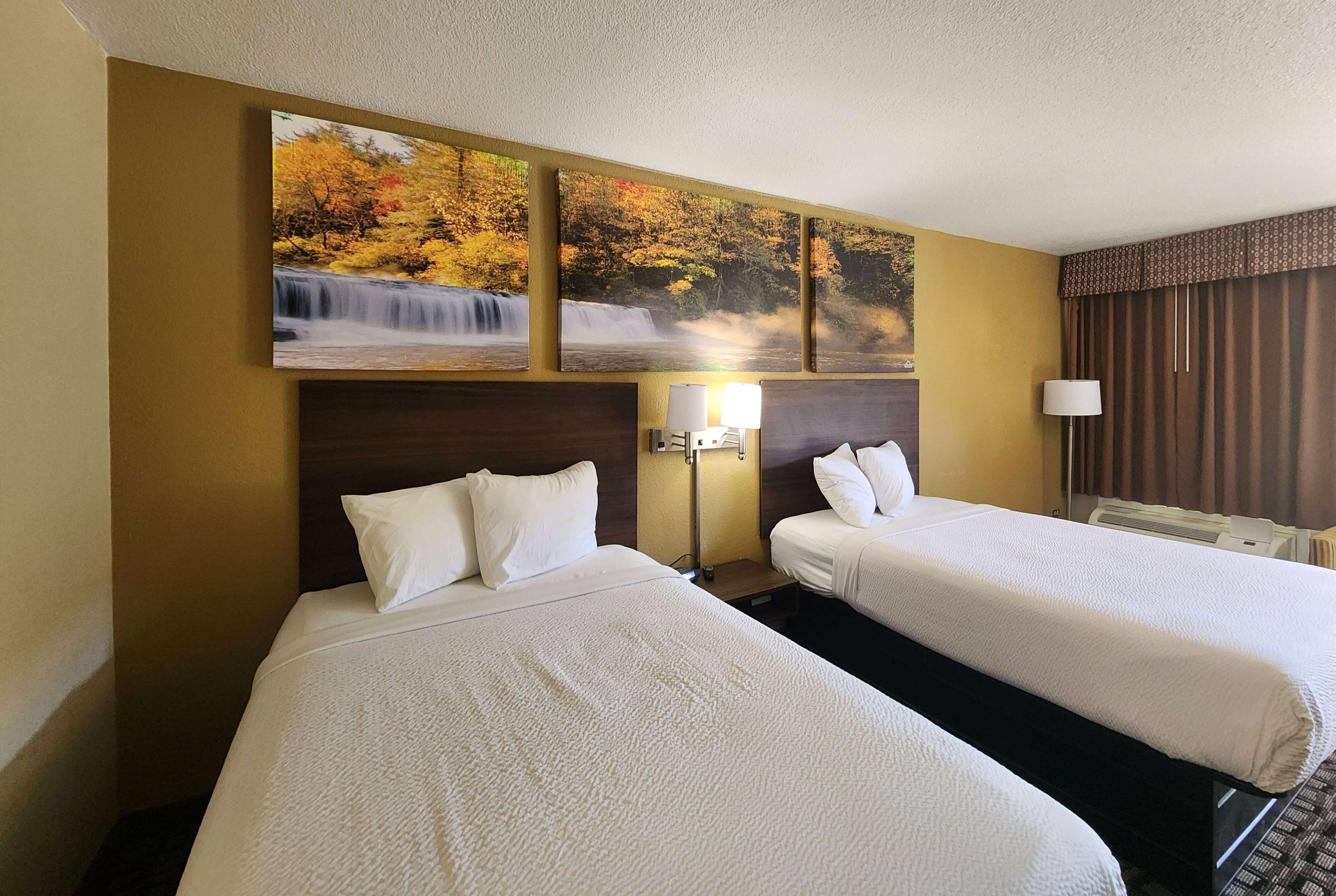 Habitación de hotel con dos camas, una mesita de noche con lámpara y un cuadro colgado en la pared que muestra una cascada.
