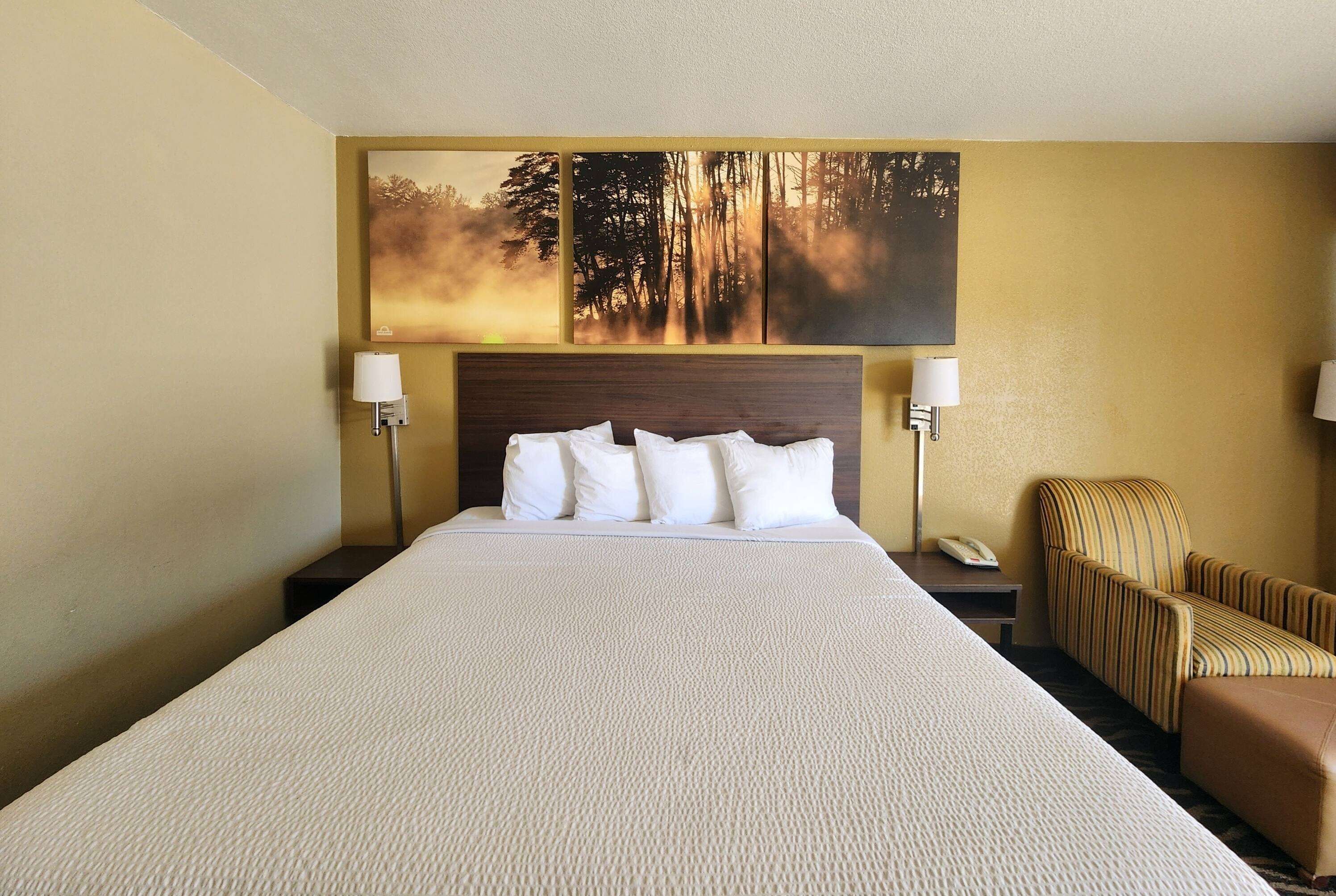 A hotel room with a large bed, two bedside tables, a chair, and a wall-mounted painting of a forest scene.