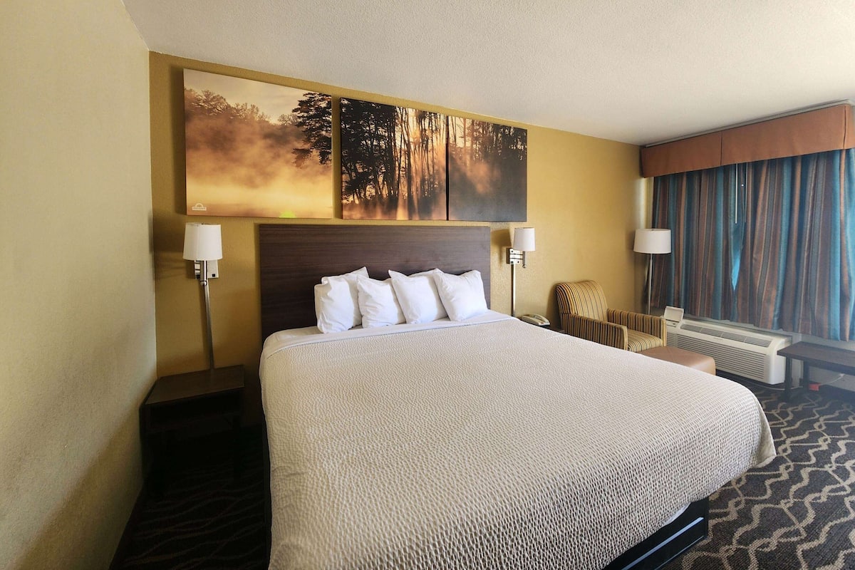 Habitación de hotel con una cama grande, dos lámparas de noche, un cabecero, un cuadro de árboles, una ventana con cortinas y suelo alfombrado.