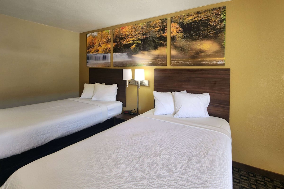 Una habitación de hotel con dos camas individuales, una mesita de noche con lámpara y un cuadro colgado en la pared que muestra una cascada.