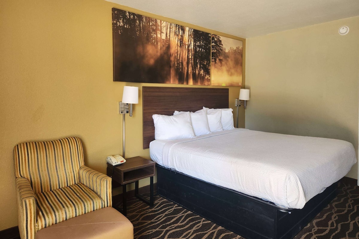 Habitación de hotel con una cama, un sillón a rayas, una mesita de noche con una lámpara y un cuadro de un bosque.