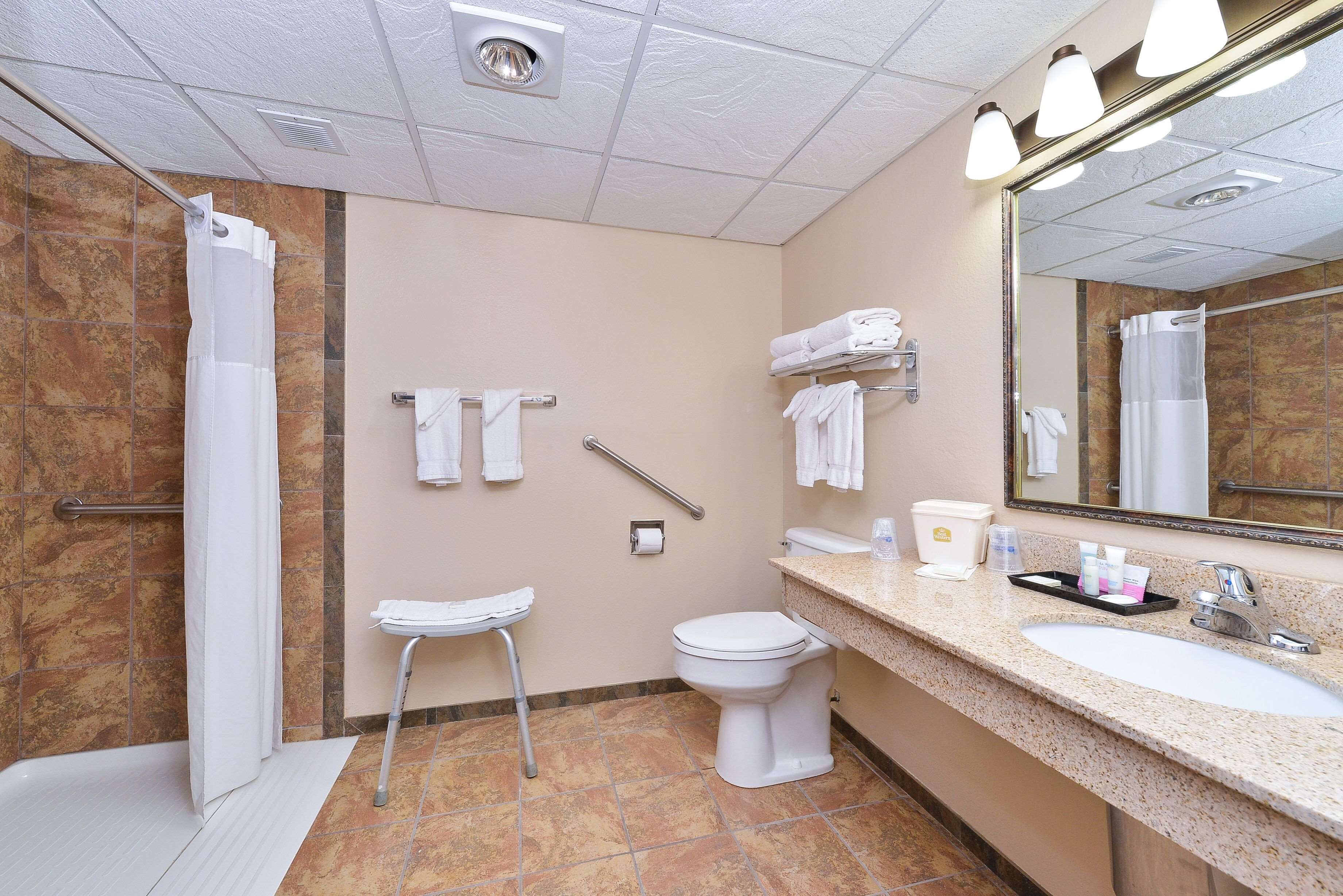 A bathroom with a shower, toilet, sink, and handrails.