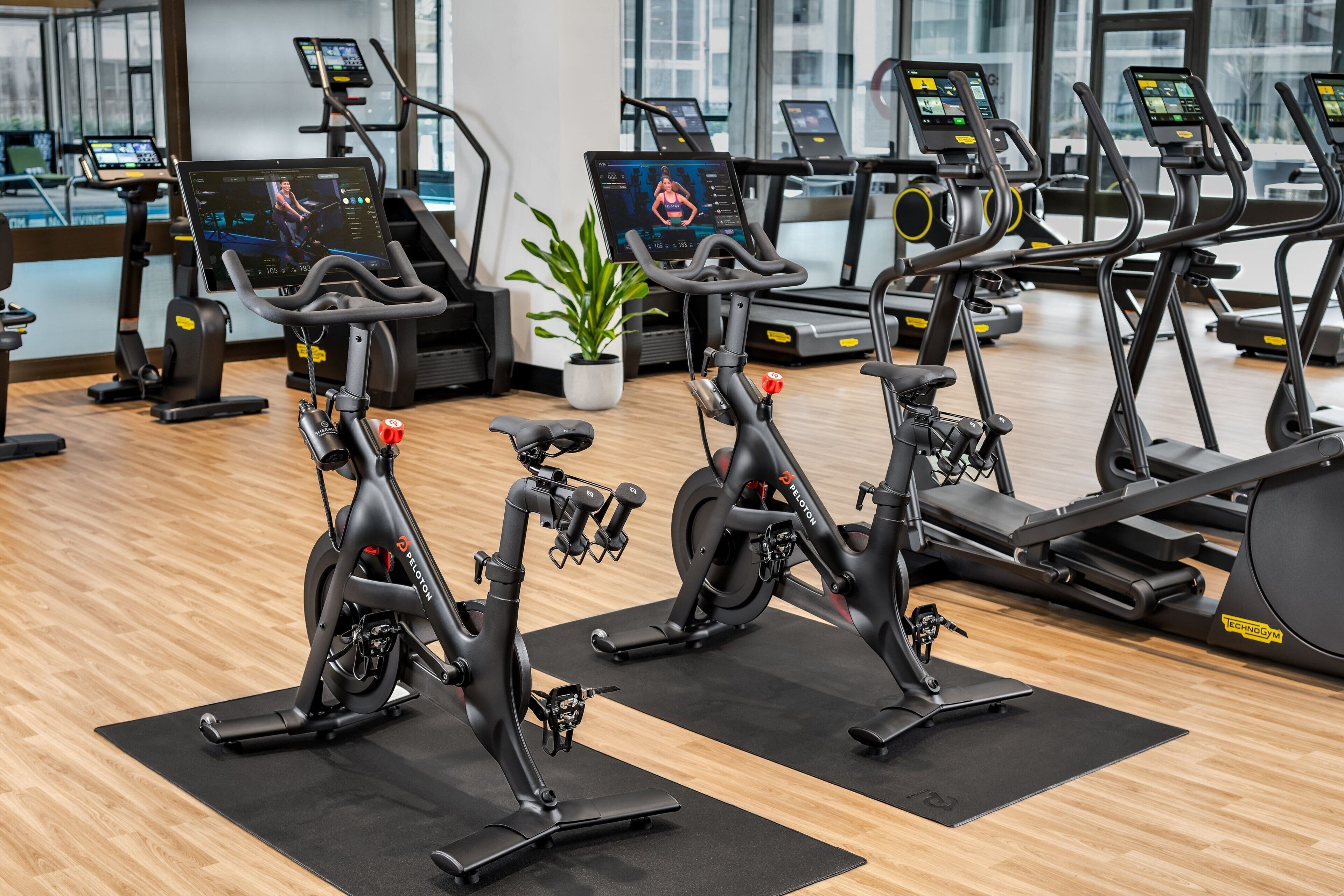 Un gimnasio con bicicletas estáticas y cintas de correr, una planta en maceta y ventanas amplias.