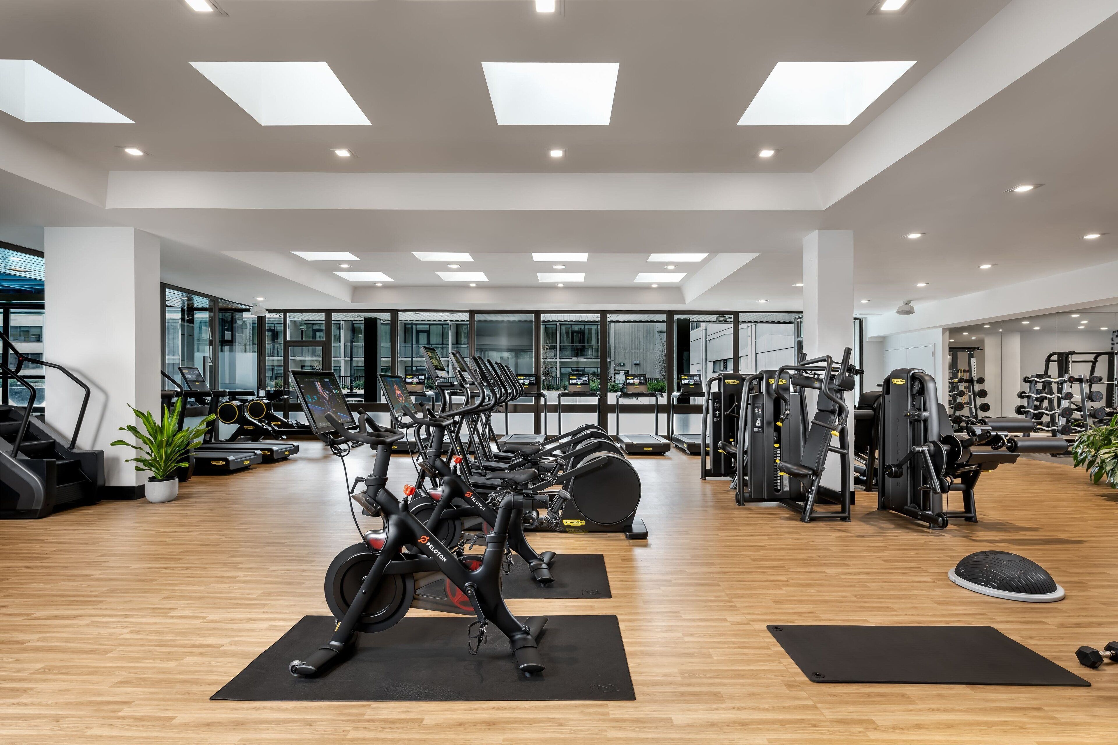 A modern gym with cardio machines, weightlifting equipment, and a wooden floor.