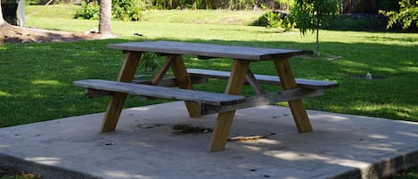 Et picnicbord med en betonfod, omgivet af græs og træer.