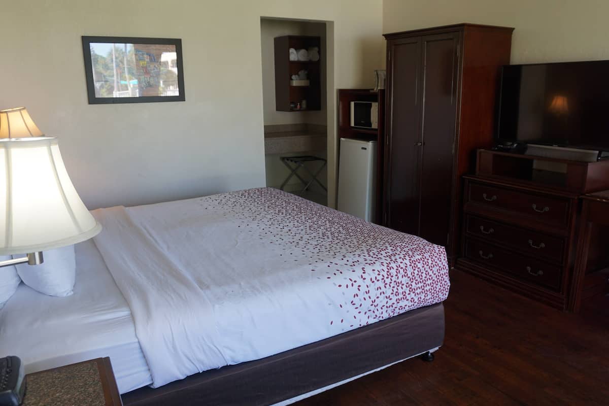 Standard Room, 1 Queen Bed, Mobility Accessible, Non Smoking | In-room safe, desk, laptop workspace, blackout drapes