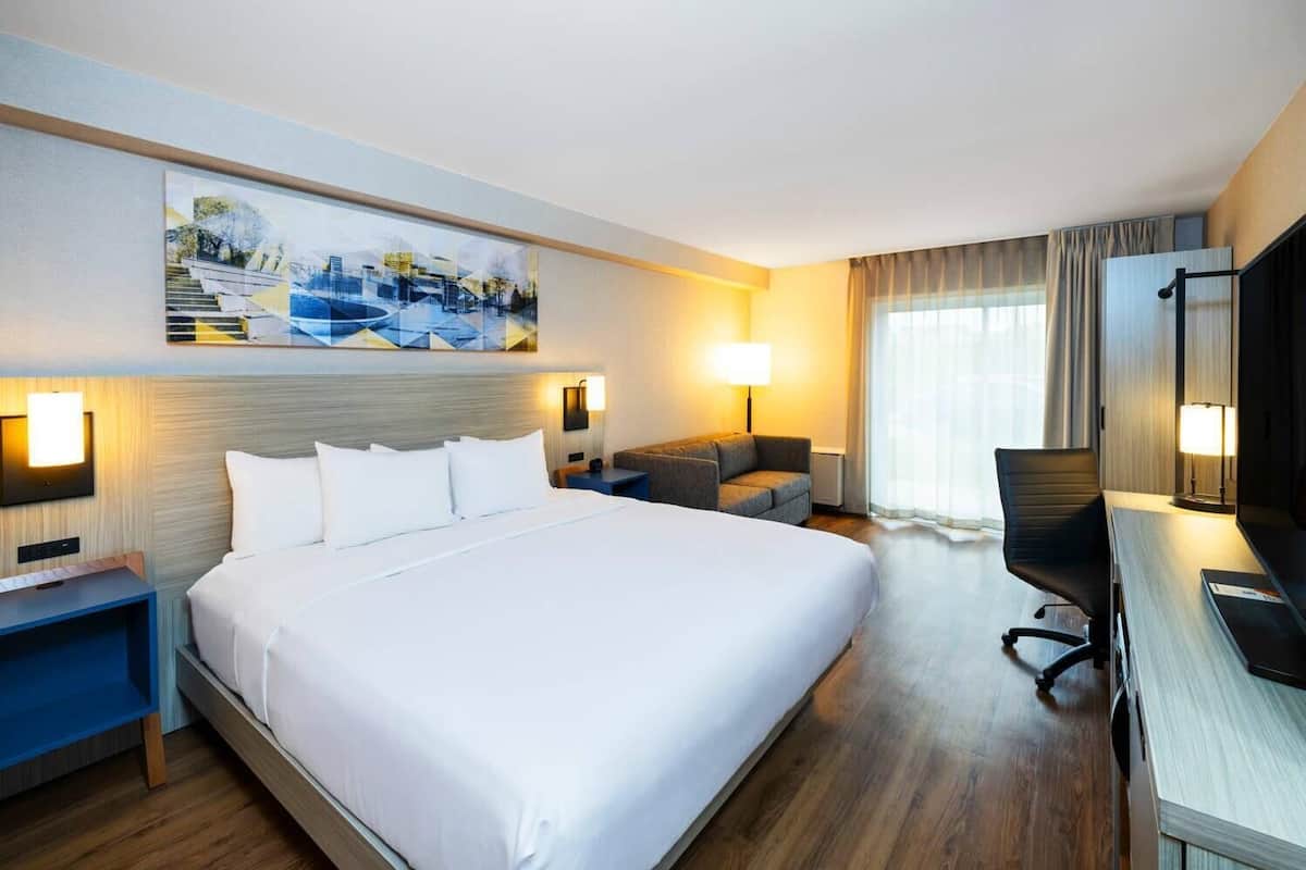 Room, 1 King Bed, Non Smoking