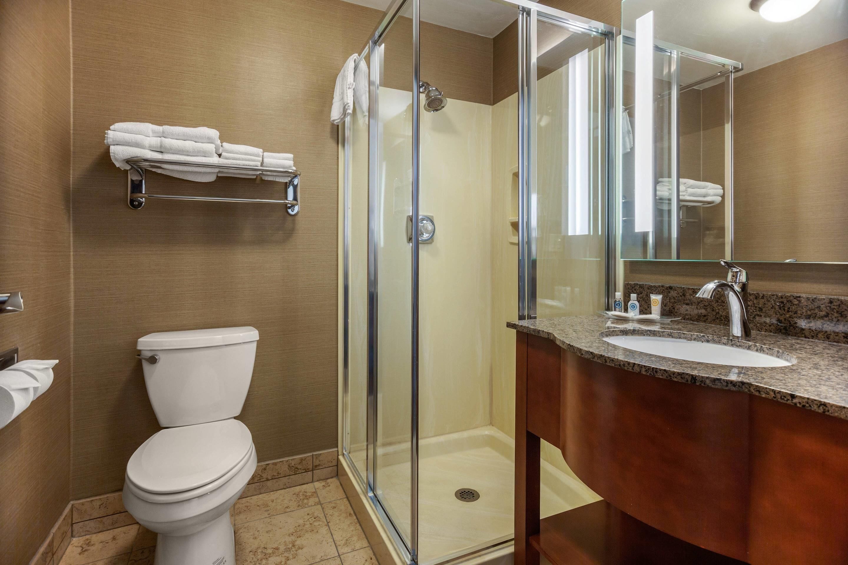 A bathroom with a toilet, a glass-enclosed shower, and a sink with a mirror.