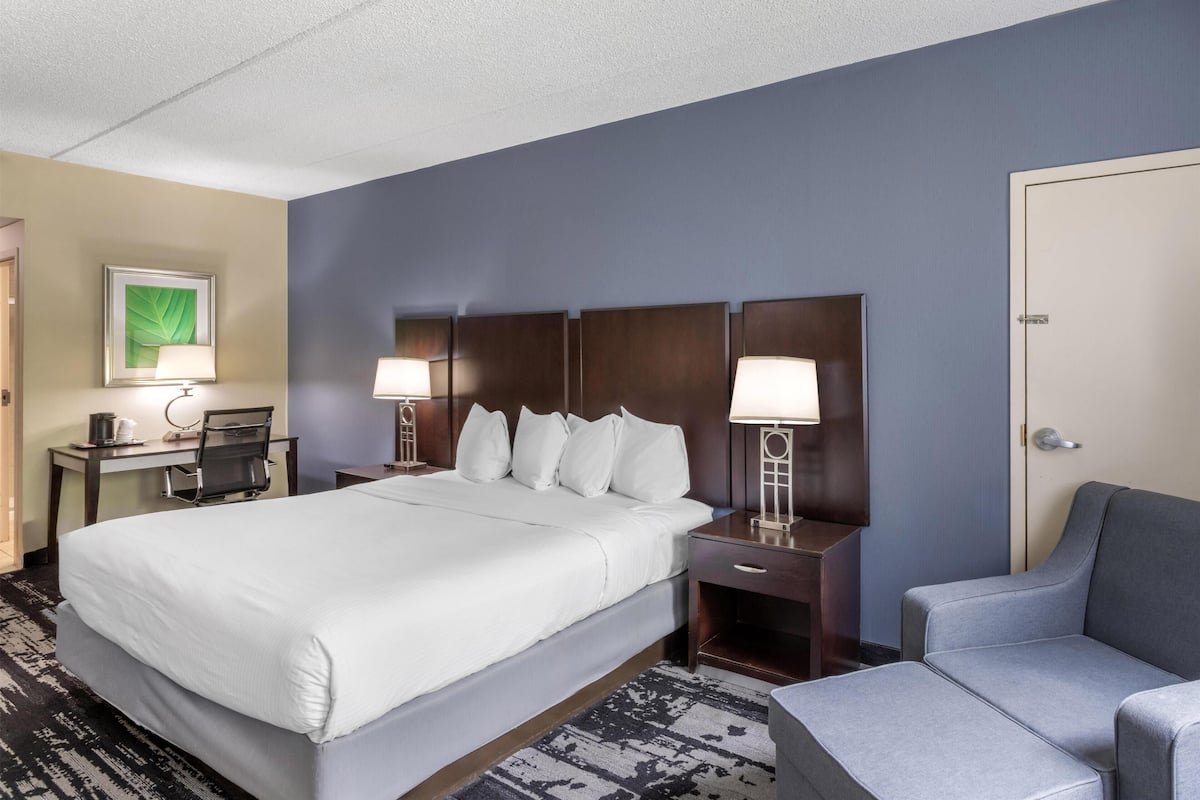 Standard Room, 1 King Bed, Non Smoking, Refrigerator & Microwave | Desk, laptop workspace, soundproofing, iron/ironing board
