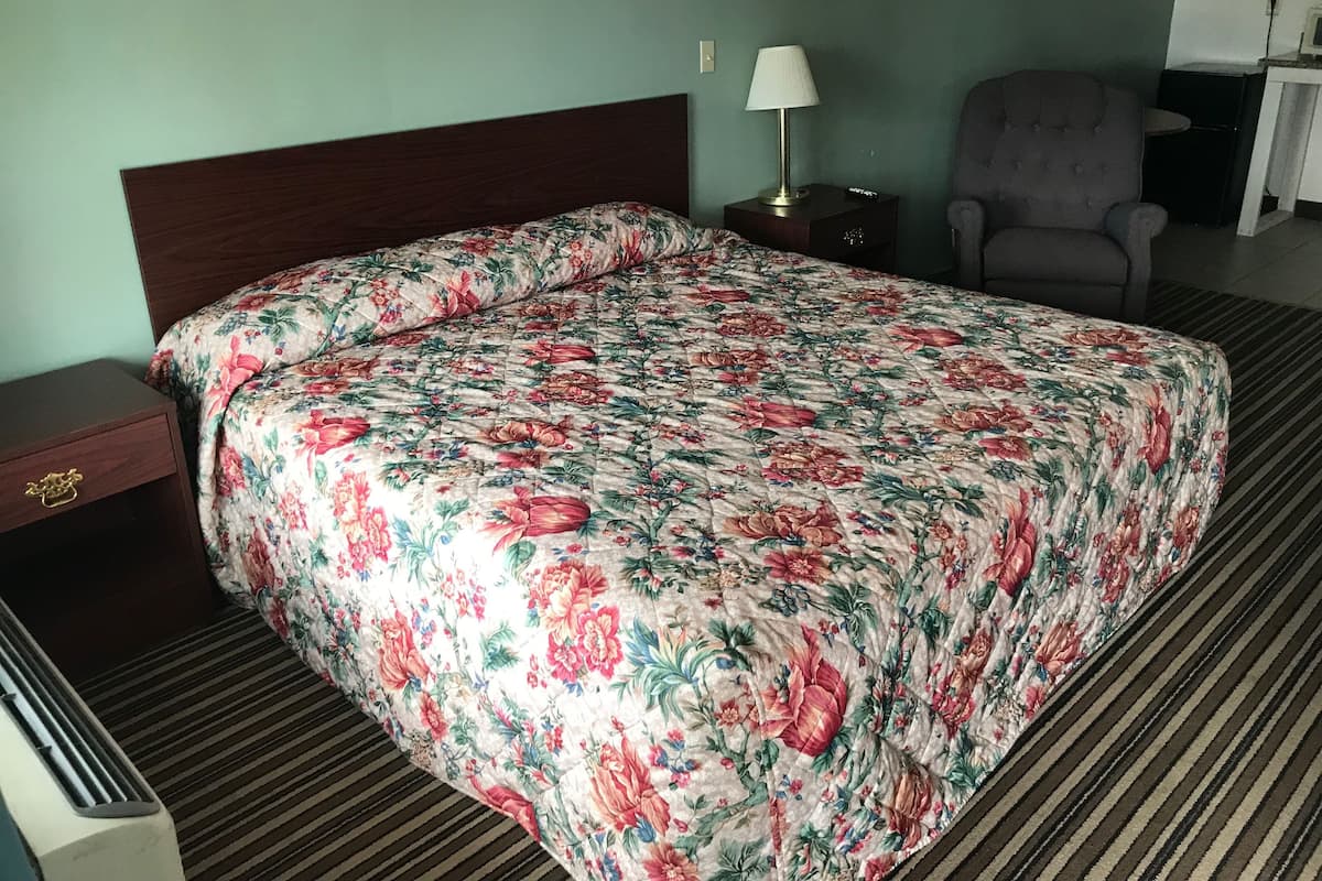 Standard Room, 1 King Bed, Non Smoking | Desk, iron/ironing board, free WiFi