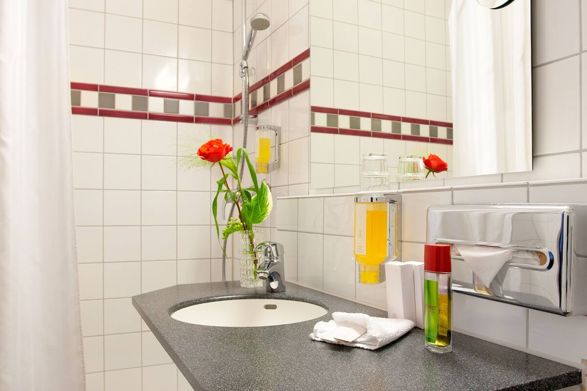 Combined shower/bathtub, free toiletries, hair dryer, towels