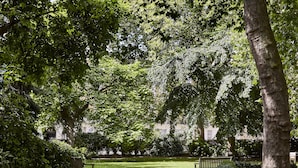 Taman