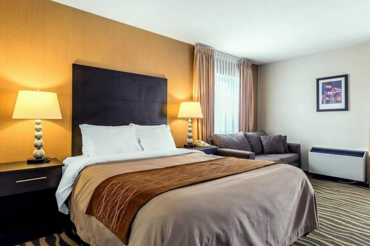 A hotel room with a large bed, two bedside tables with lamps, a sofa, a radiator, and a framed picture on the wall.