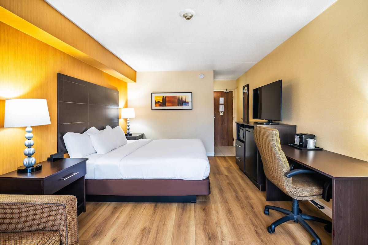 Standard Room, 1 King Bed with Sofa bed, Non Smoking (Dog Friendly) | Desk, blackout drapes, iron/ironing board, cribs (surcharge)