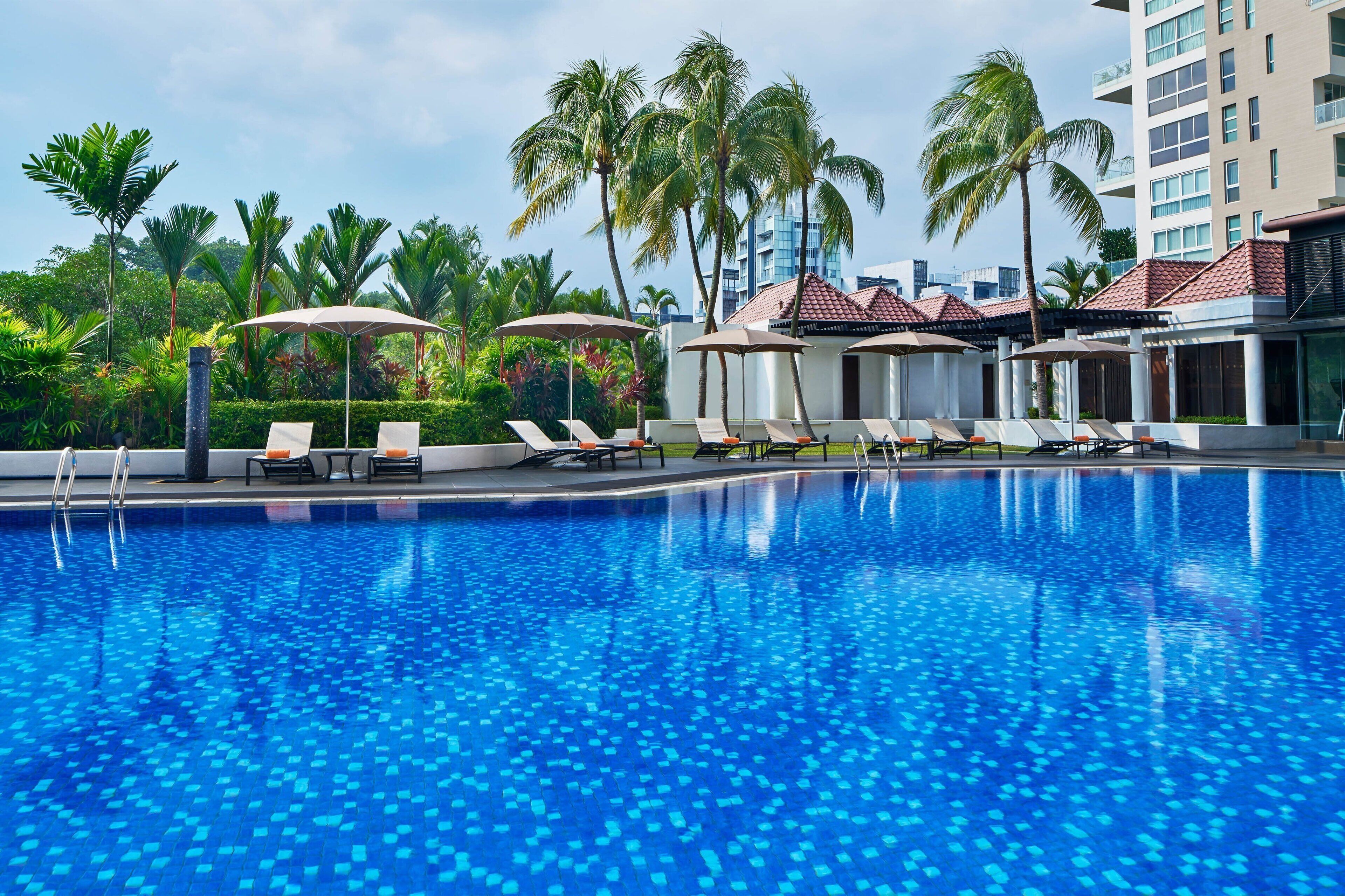 室外游泳池，開放時間為 08:00 至 19:00，提供泳池遮陽傘和日光浴躺椅