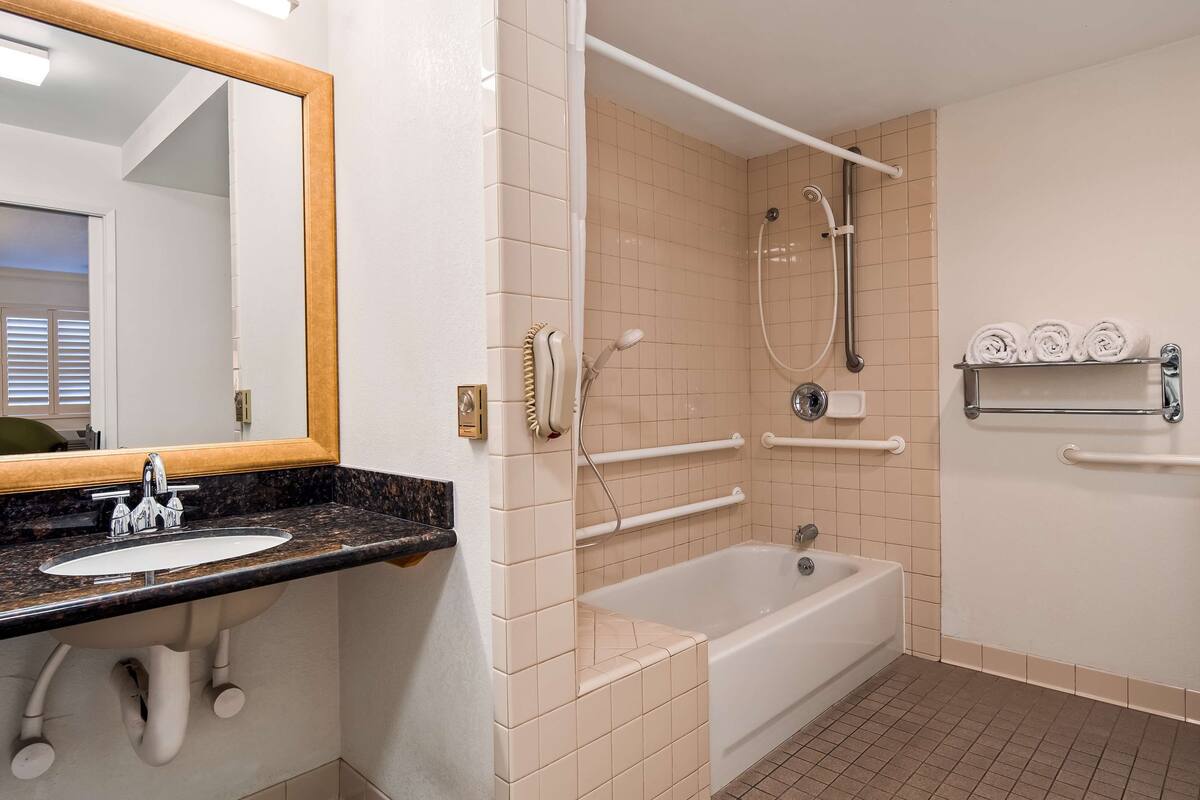 standard room, 1 king bed, accessible, bathtub | bathroom | free toiletries, hair dryer, towels, soap