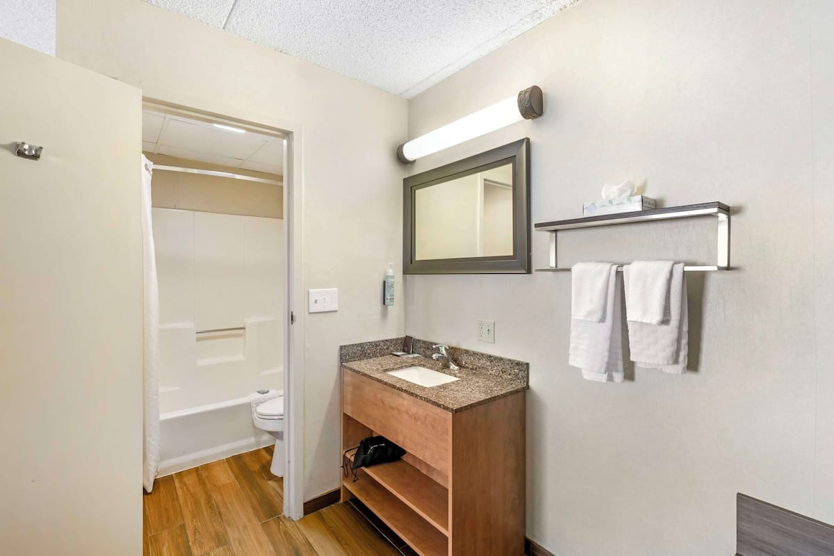 standard room, 1 king bed, non smoking, refrigerator & microwave (larger room) | bathroom | combined shower/bathtub, eco-friendly toiletries, hair dryer, towels