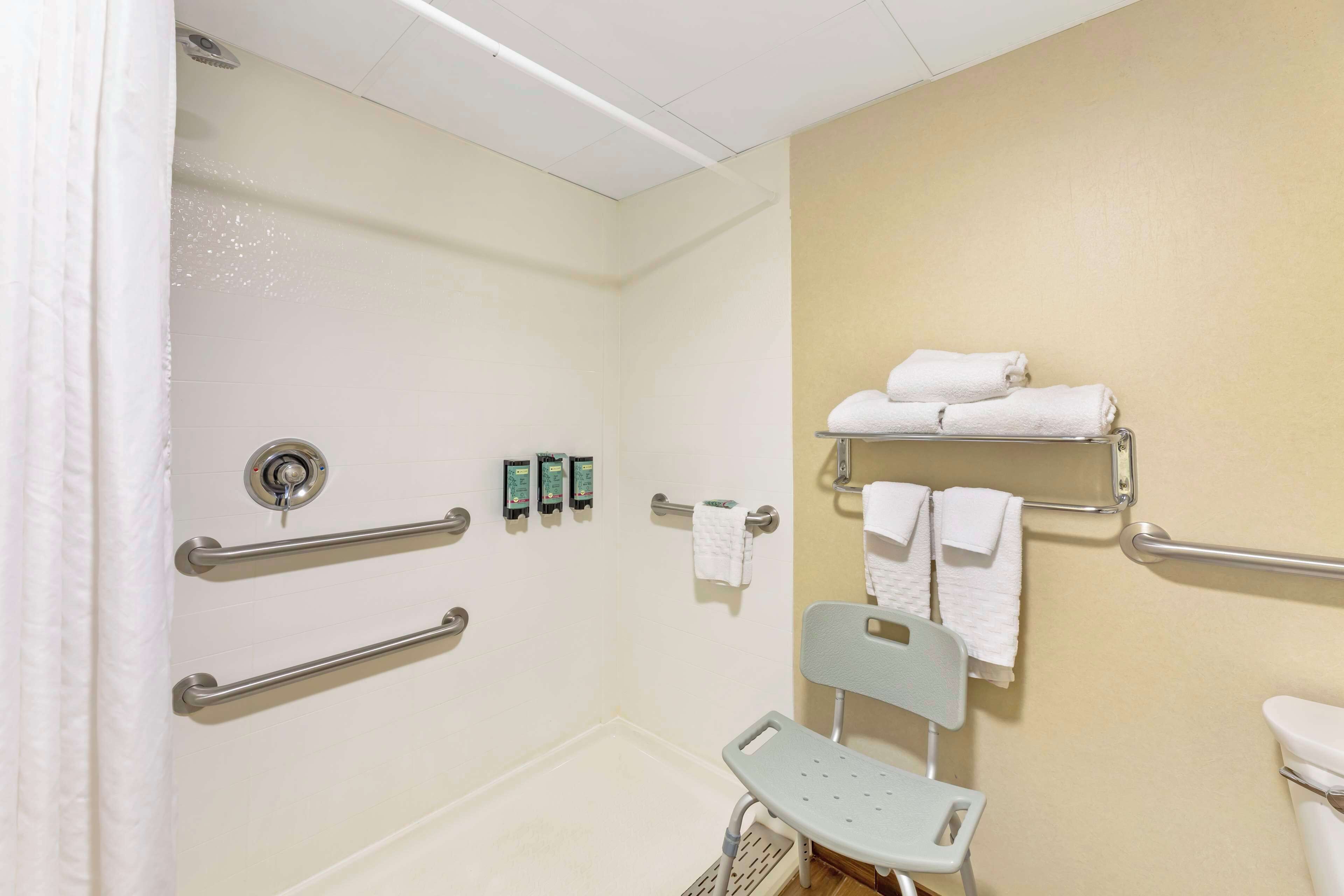 standard room, 1 king bed, accessible, non smoking | bathroom | combined shower/bathtub, eco-friendly toiletries, hair dryer, towels