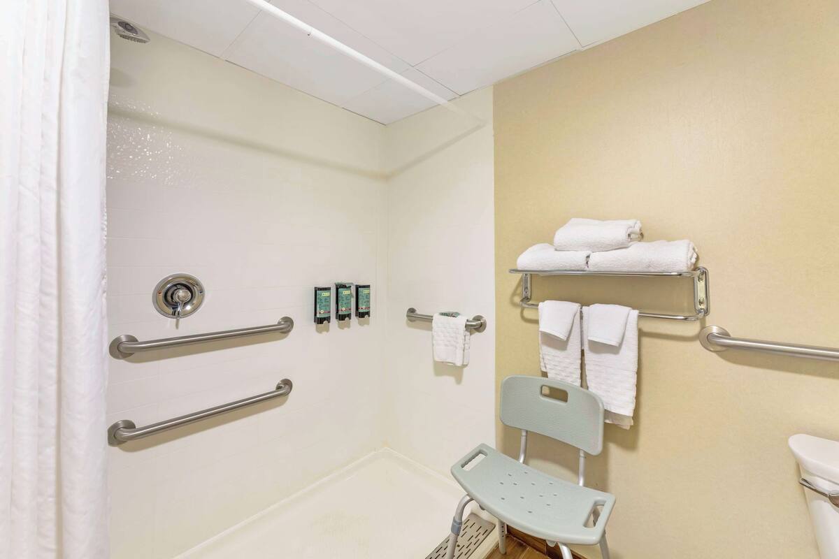 standard room, 1 king bed, accessible, non smoking | bathroom | combined shower/bathtub, eco-friendly toiletries, hair dryer, towels