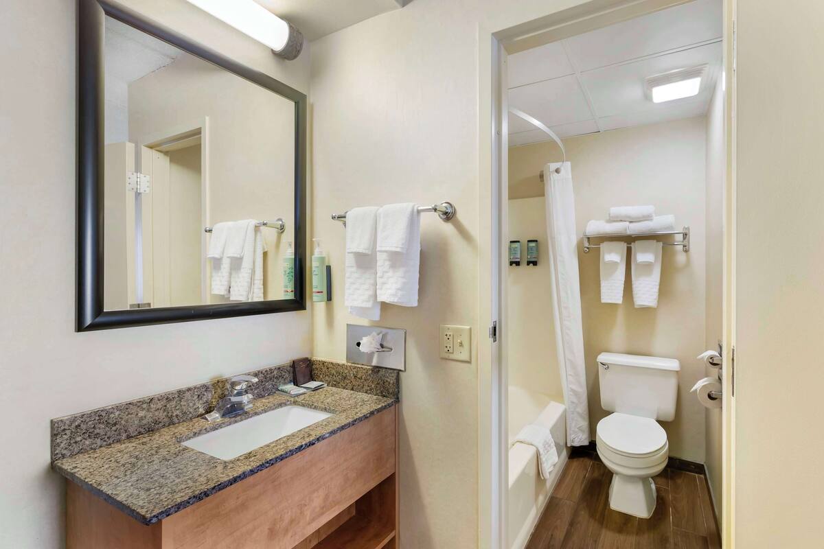 standard room, 1 king bed, non smoking, refrigerator & microwave | bathroom | combined shower/bathtub, eco-friendly toiletries, hair dryer, towels